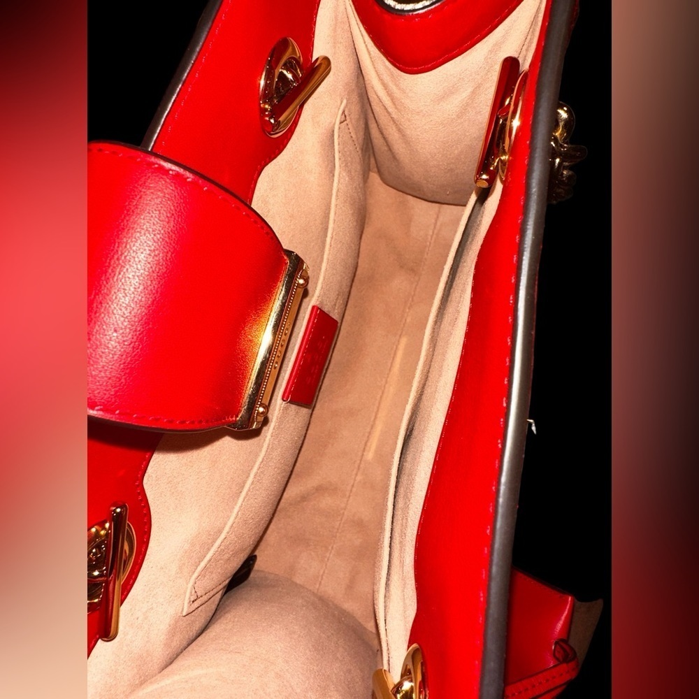 LIMITED EDITION GUCCI CHERRY Shoulder bag - Picture 11 of 11